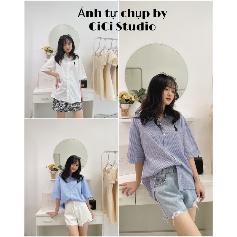 Áo sơmi logo thêu - CICISTUDIO