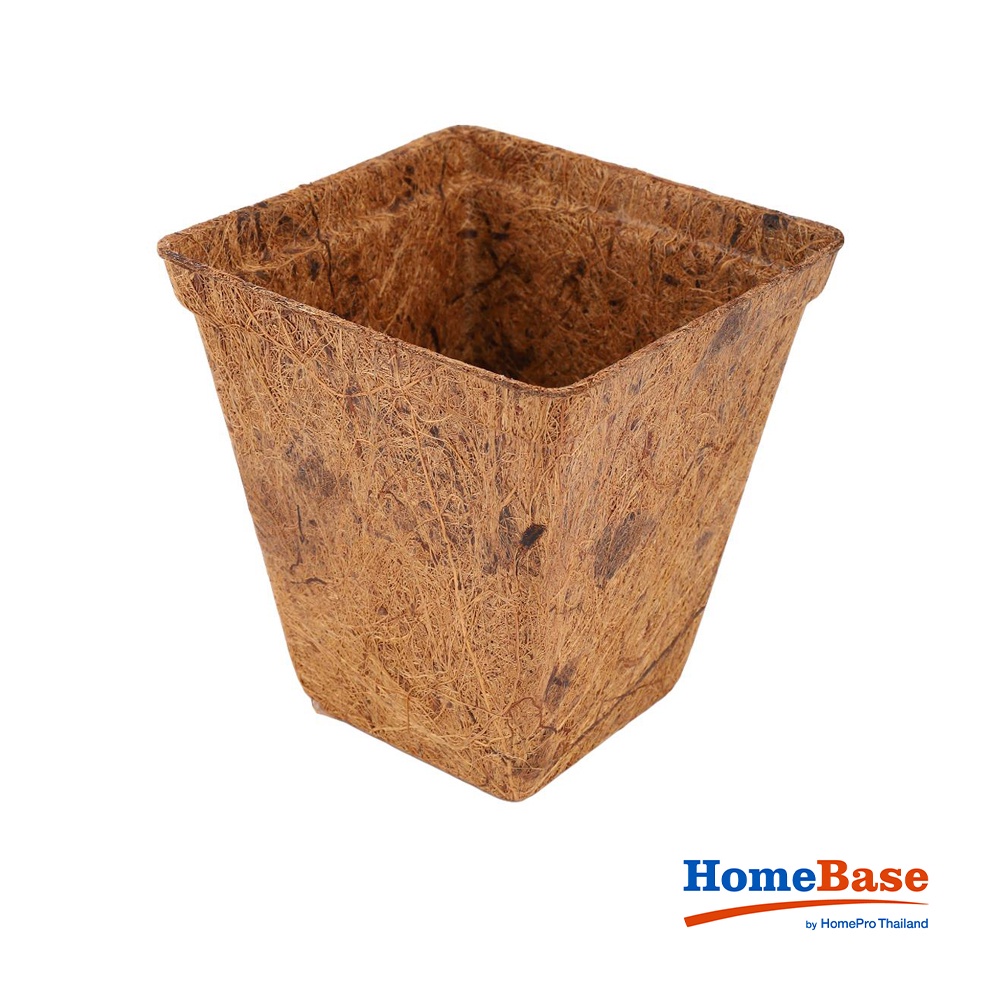 HomeBase SPRING Chậu cây bằng xơ dừa 6 cái có thể phân hủy sinh học Thái Lan W10xH13,5xD10cm màu nâu