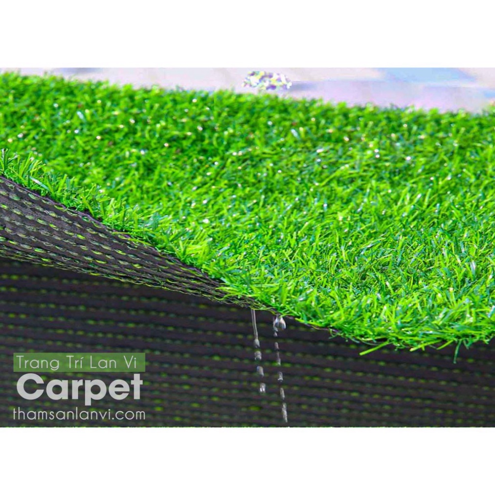 Tấm cỏ nhân tạo cao 2cm trang trí nhà cửa kích thước 50cm x 50cm