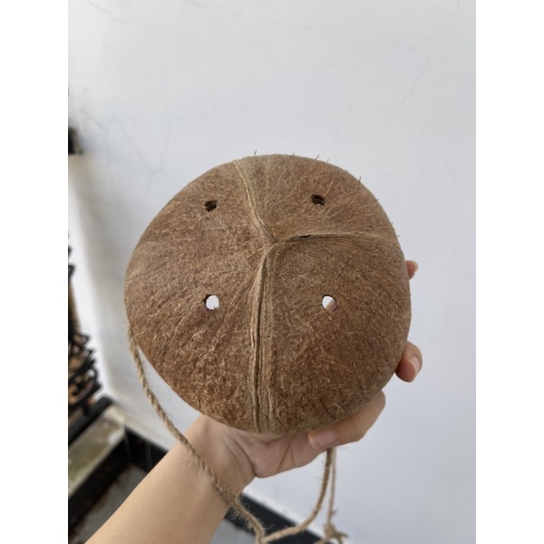 Gáo dừa trồng lan, trồng cây có kèm dây thừng treo