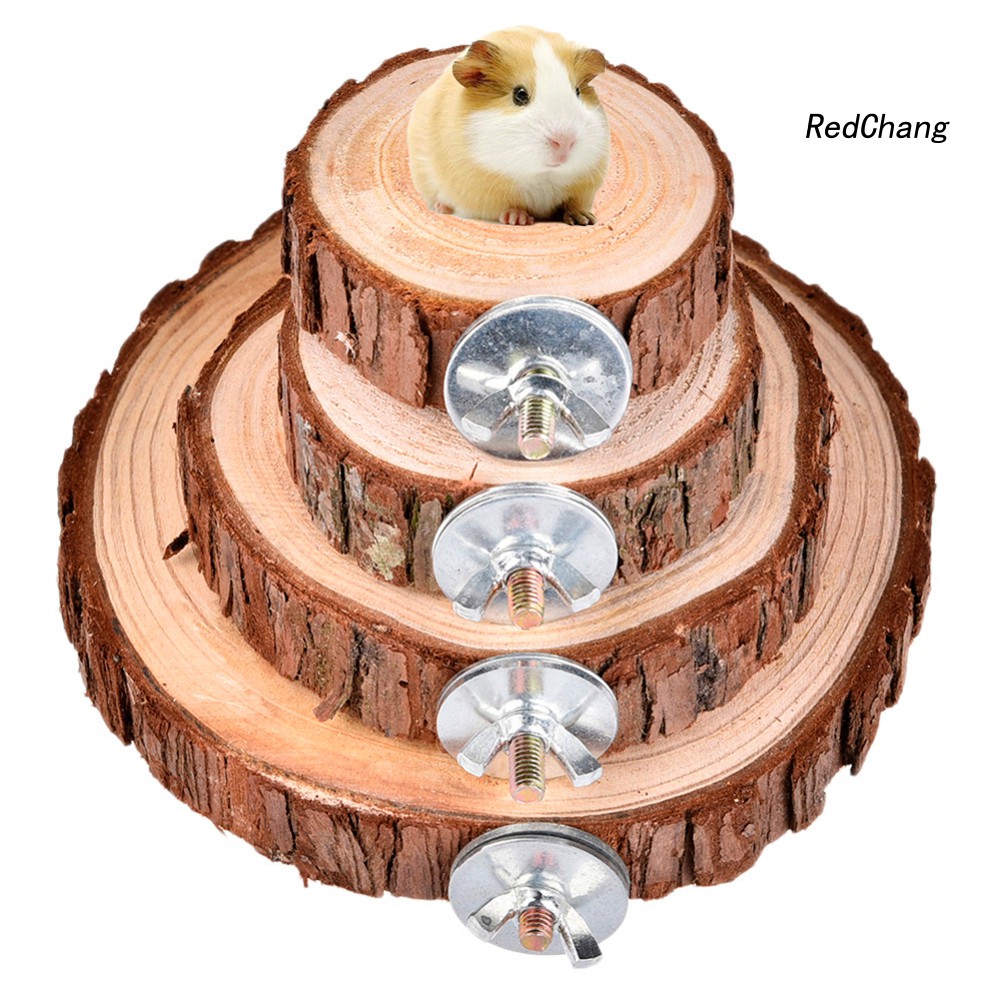 Bệ gỗ vui chơi cho chuột hamster