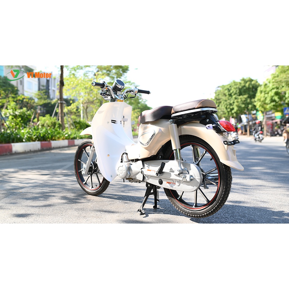 Xe số 50cc Cub 81 Ally New - vành đúc - 2021