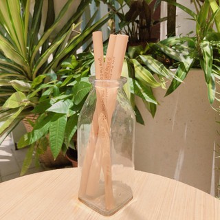 Ống hút tre thân thiện môi trường - A Little Bit