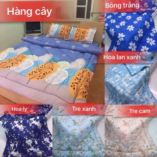 Bộ chăn phao ga gối poly (5 món)