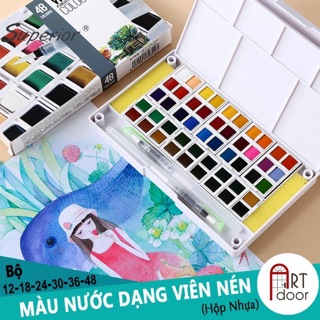 DQT1908 - Màu nước dạng nén