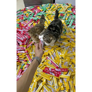Súp thưởng cho mèo thanh 15g