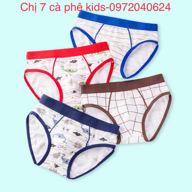 QUẦN SỊP TRẺ EM- SET 5 QUẦN- QUẦN LÓT CHO BÉ TRAI ĐỦ SIZE