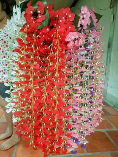 Hoa lan vũ nữ treo tường
