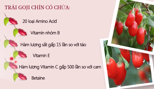 KEM TRẺ HOÁ LÀN DA VÀ NÂNG CƠ GOJI CREAM HENDAL'S GARDEN - CHÍNH HÃNG 100%