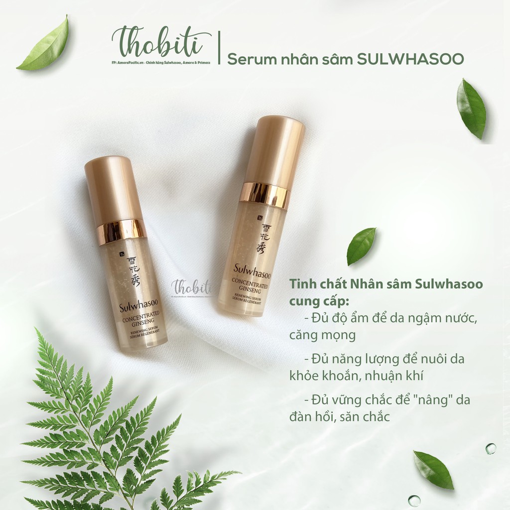 [mini 5ml] Tinh chất chống lão hoá từ nhân sâm Sulwhasoo Concentrated Ginseng Renewing Serum