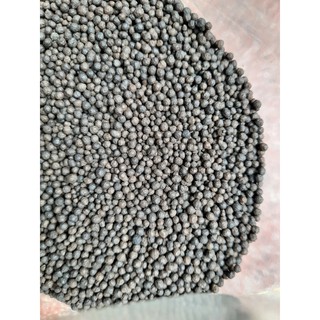 100gr đạm cá hồi Amino xanh cây bung rễ tốt lá