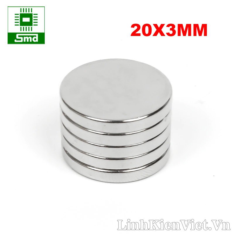Bộ 2 viên nam châm đất hiếm 20x3mm