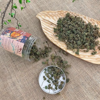 Nụ hoa tam thất - trà nụ hoa tam thất