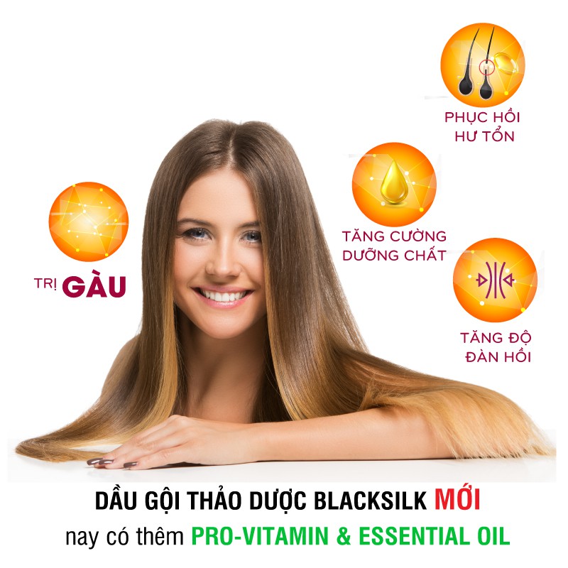 Dầu gội Blacksilk Vioba sạch gàu, giảm tóc gãy rụng (chai 500ml)