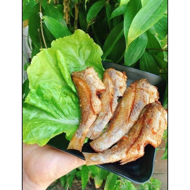 KHÔ CÁ LÙ ĐÙ 1 NẮNG LOẠI LỚN - 1KG GỒM 12-14 CON