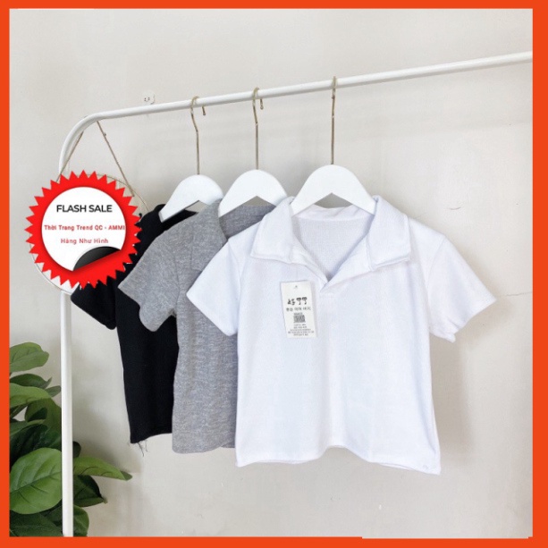 [Giá Xưởng] Áo Croptop Polo Cộc Tay Nữ , Cổ Bẻ Chất Thun Gân 3 Màu B003 Thời Trang | BigBuy360 - bigbuy360.vn