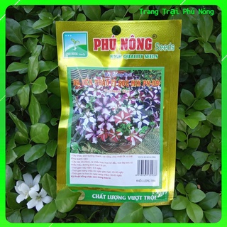 Hạt Giống Hoa Dạ Yến Thảo F1 Sọc MIX PN-09 Phú Nông - Gói 15 hạt - Petunia Star F1 Mixed