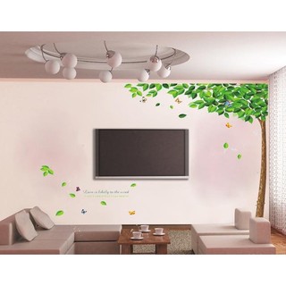 Decal hình cây xanh lá rụng