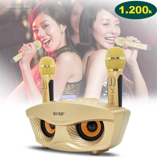 Loa Bluetooth karaoke kèm 2 míc SDRD-306