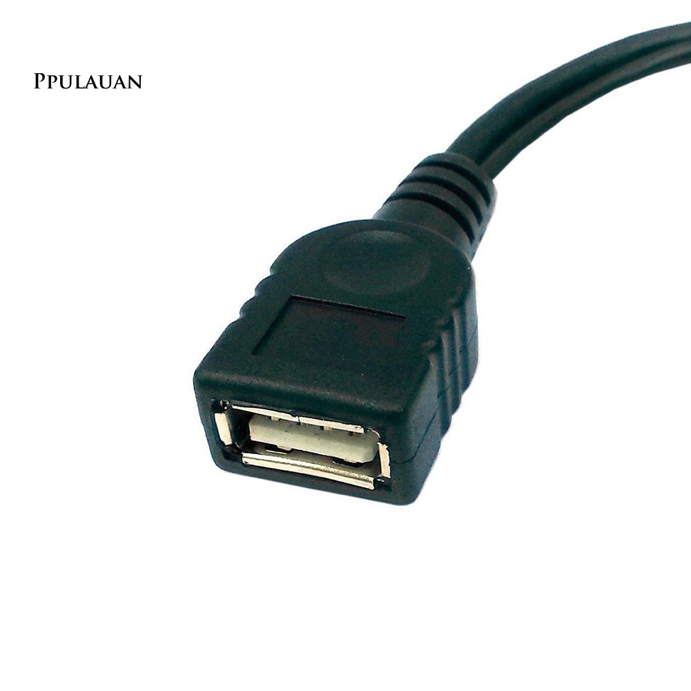 PPLA USB Port Adapter OTG Cable Cord for Media Streaming Device Phone Game Console