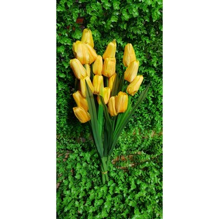 HOA TULIP VẢI
