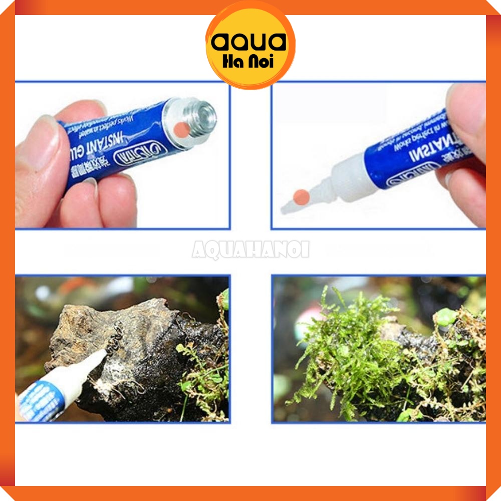 Keo chuyên dụng dán cây rêu ráy bucep thủy sinh, cây không khí ADHESIVE - tuýp 5g - siêu chắc, an toàn cá tép