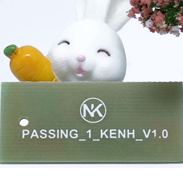 Mạch passing 1s kiêm bật tắt đèn trợ sáng Passing1s