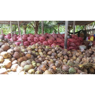 Sỉ-Lẻ Mụn xơ dừa