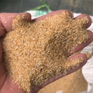 Cát nắng vàng