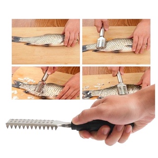 Dụng Cụ Đánh Vẩy Cá Nhanh Gọn, Dễ Sử Dụng