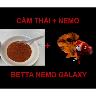 Cám cá 10g kèm betta nemo galaxy