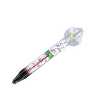Nhiệt Kế Đo Nhiệt Độ Nước Bể Cá