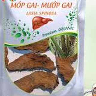  Cây mướp gai, caây móp gai