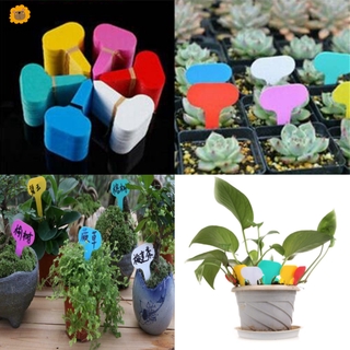 Set 100 thẻ tên đánh dấu cây chống nước tiện lợi 