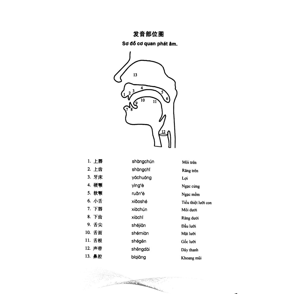 Sách - Tự Học Tiếng Trung Cho Người Mới Bắt Đầu