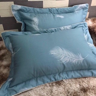 Vỏ gối cottong 1 đôi(2 chiếc)