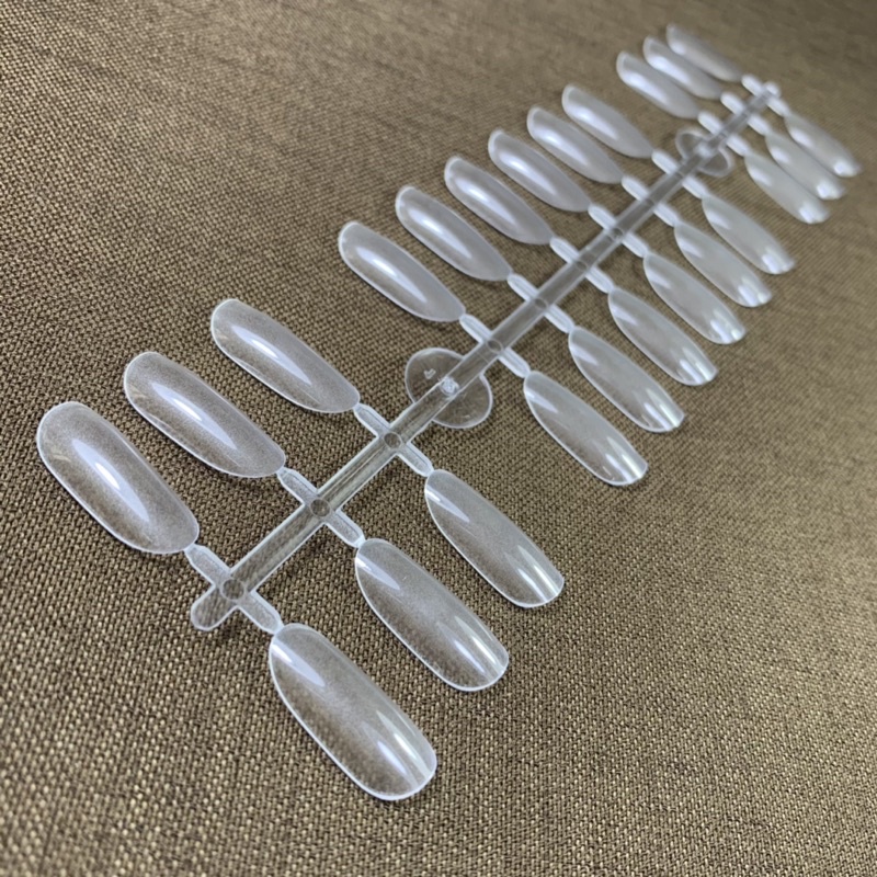 Vỉ 24 móng vẽ mẫu, móng giả thực hành vẽ móng