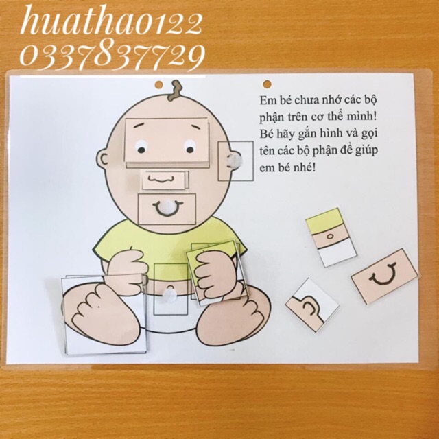 HỌC LIỆU CHO BÉ : Bộ phận trên cơ thể người .từ 18 – 24 tháng tuổi