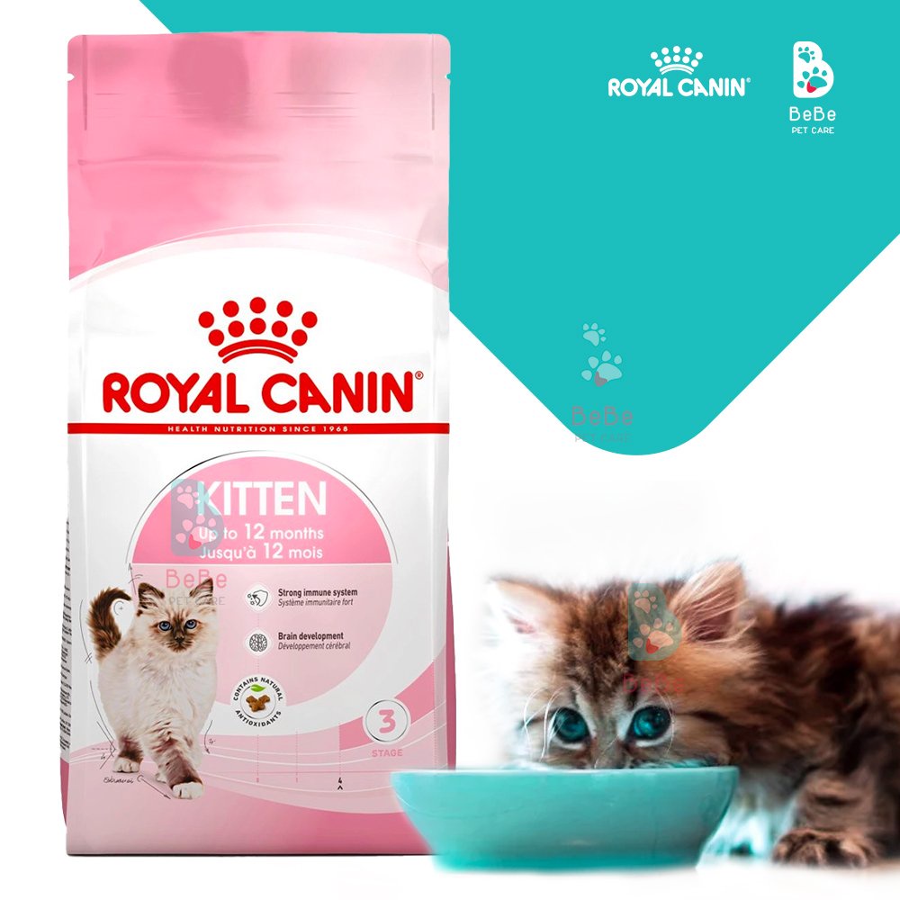 [1Kg-2Kg] Hạt ROYAL CANIN Kitten Dành Cho Mèo Con