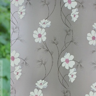 Combo 5m Decal dán kính mẫu hoa lá