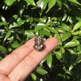 Tỳ hưu mệnh mộc
