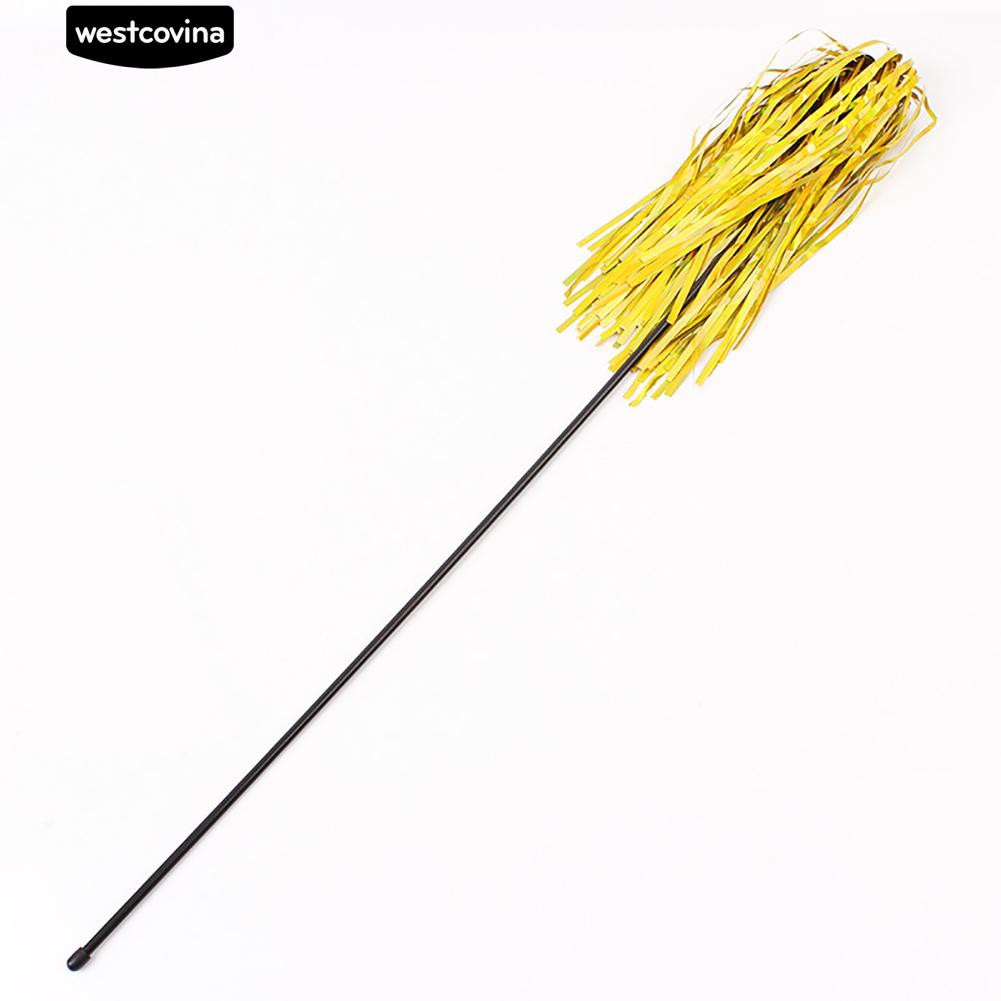 Đồ chơi tua rua tập tương tác cho mèo