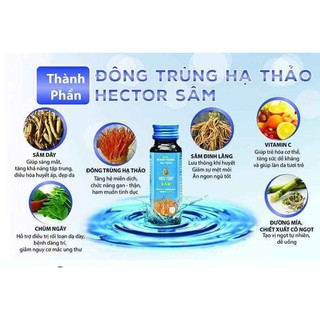 Nước đông trùng hạ thảo Hector sâm