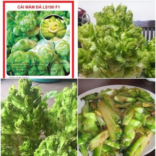 Hạt giống cải mầm đá F1 - 0.2 gr