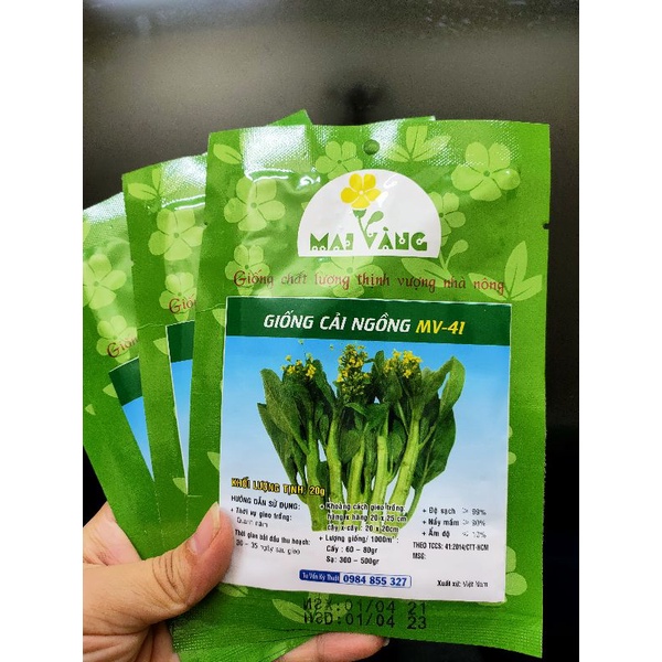 [Gói 20g]  Hạt giống rau cải ngồng