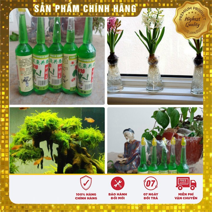 Dung dịch thủy canh dành cho cây kiểng loại 1