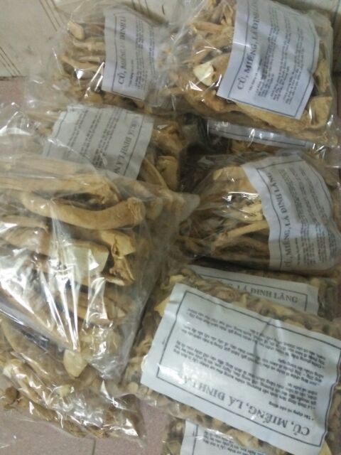 Rễ đinh lăng nếp rời[1kg] tươi ngon lâu năm