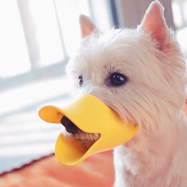 RỌ MÕM CHÓ HÌNH MỎ VỊT CHẤT LIỆU CAO SU THƠM!!