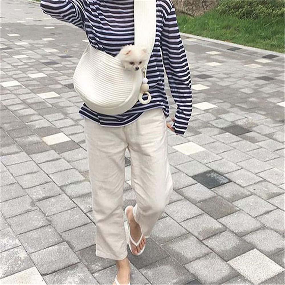 Túi Canvas ĐựNg Thú Cưng Khi Đi Du LịCh