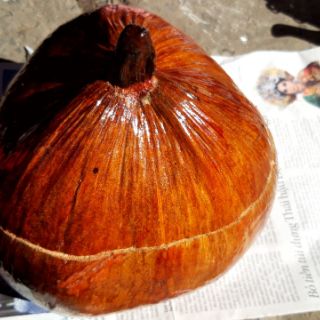Vỏ dừa đựng ấm trà